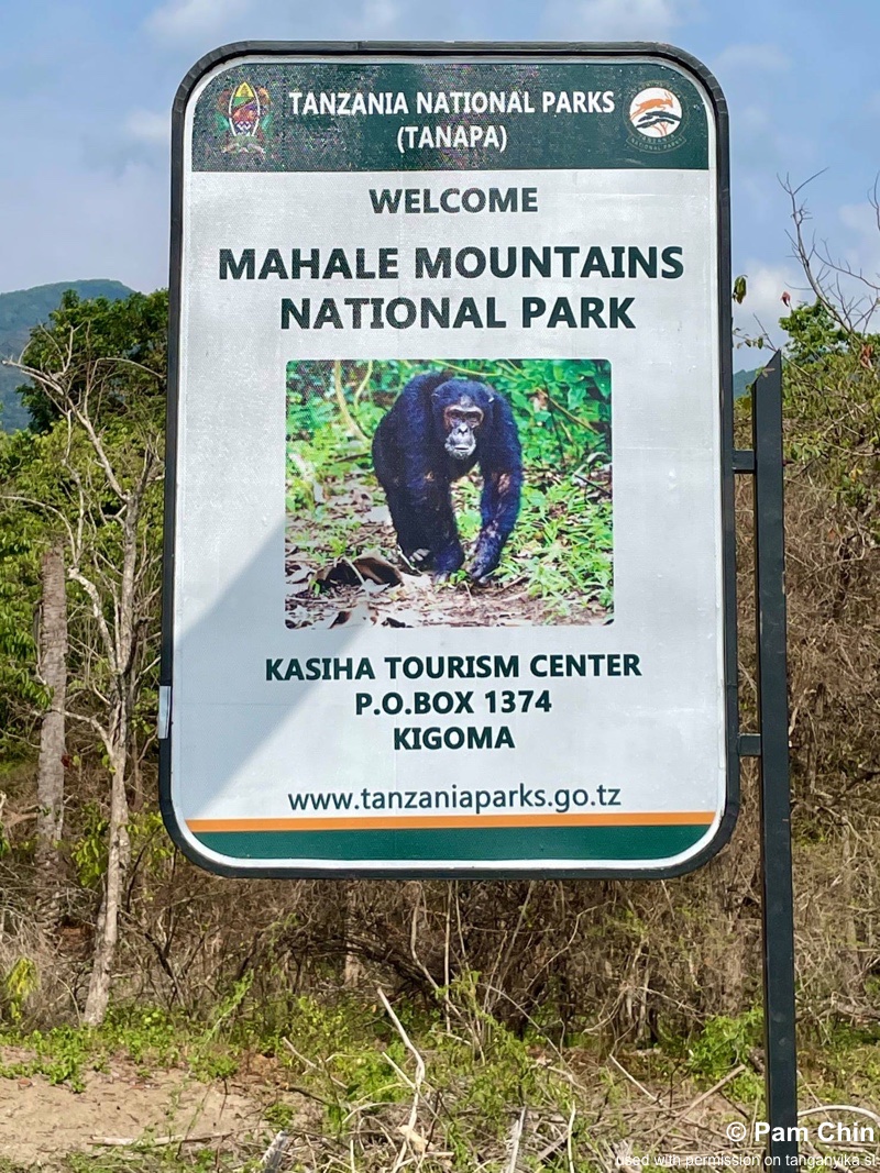 Mahale Mountains National Park 06
